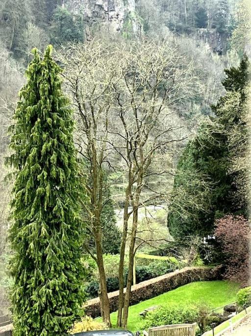 10 Wye Rapids Cottages Symonds Yat Eksteriør billede